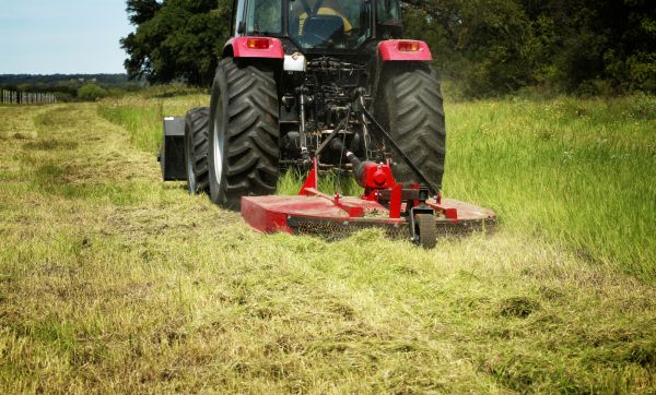 Brush Clearing Service in Salt Lake City