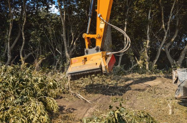 Brush Removal Service in Salt Lake City