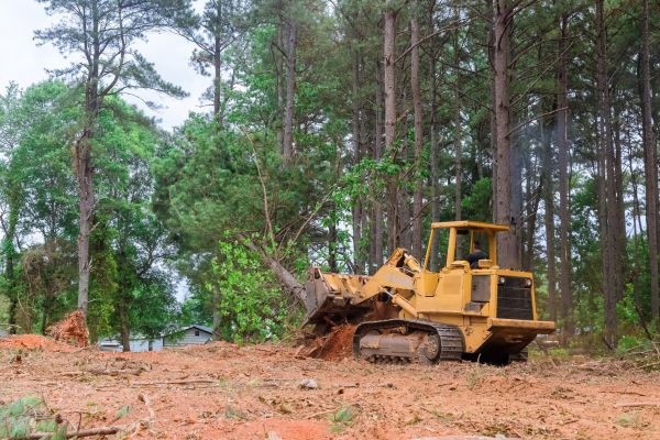 Cost of Property Clearing in Salt Lake City