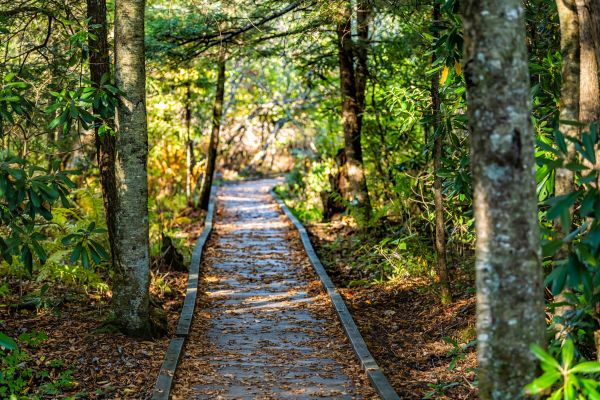 Cost of Trail Clearing in Salt Lake City