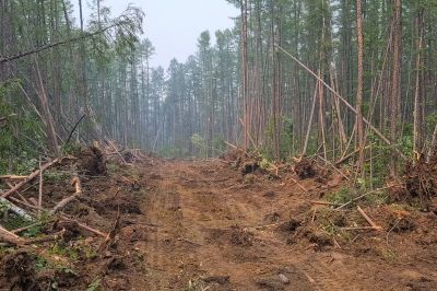 Land Clearing for Agriculture