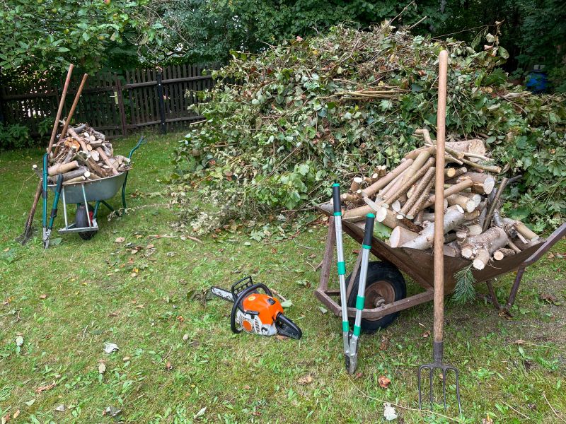 Tree and Debris Removal